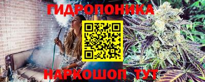 молекула духа Партизанск