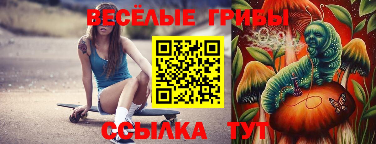 Галлюциногенные грибы Cubensis  Вход с VPN  Рубцовск 