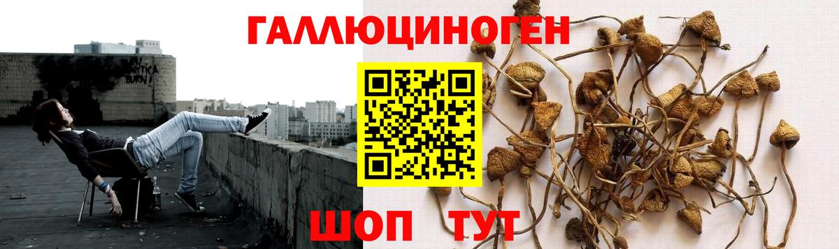 Галлюциногенные грибы Magic Shrooms Рубцовск